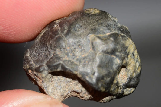 Meteorite Eucrite Melt Breccia HED Achondrite NWA 12342 Fragment 7.59g with COA  MeteoriteNwa.com