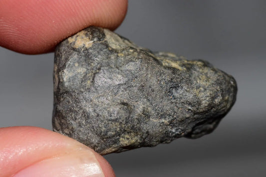 Meteorite Eucrite Melt Breccia HED Achondrite NWA 12342 Fragment 8.20g with COA  MeteoriteNwa.com