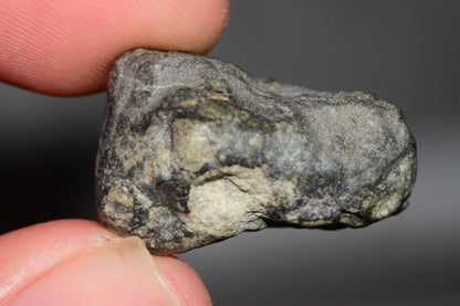 Meteorite Eucrite Melt Breccia HED Achondrite NWA 12342 Fragment 8.20g with COA  MeteoriteNwa.com