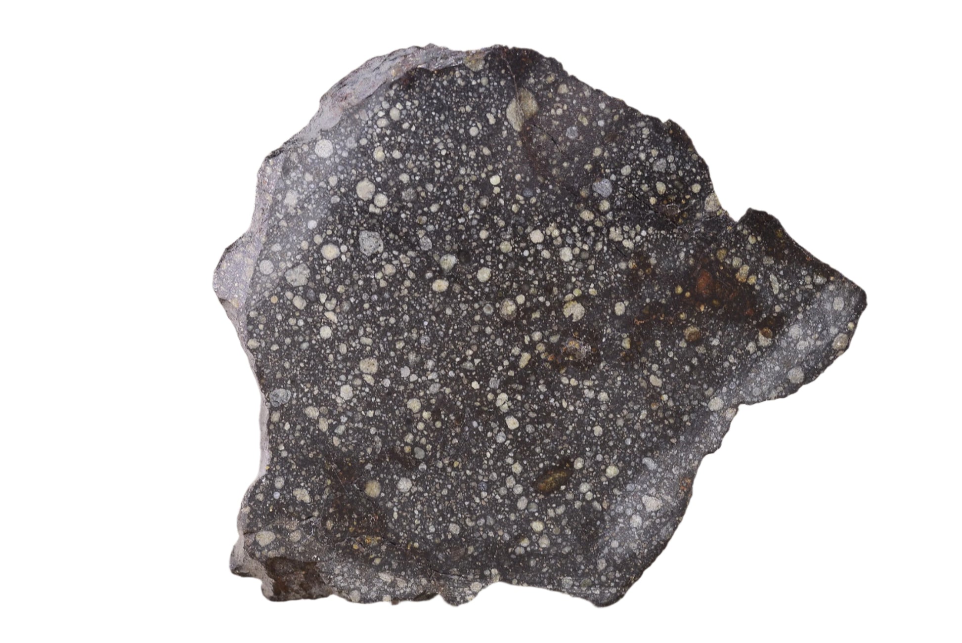 Meteorite Chondrite NWA 12858 R3
