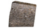 NWA 11757 Ureilite Meteorite 