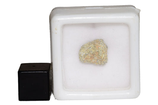 NWA 12241 Martian Meteorite