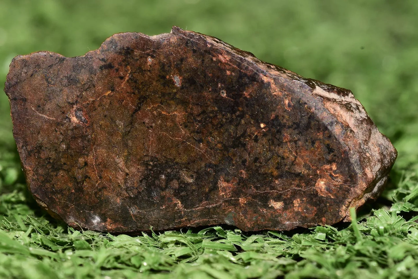 Meteorite Ungrouped achondrite NWA 13272 poikilitic igneous texture 9.54 g Slice - MeteoriteNwa.com