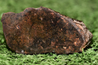 Meteorite Ungrouped achondrite NWA 13272 poikilitic igneous texture 9.54 g Slice - MeteoriteNwa.com
