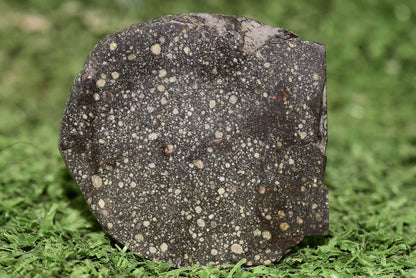 Meteorite Chondrite NWA 12858 RUMURUTI R3 15.73 G SLICE - MeteoriteNwa.com