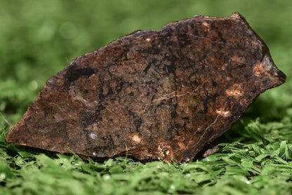 Meteorite Ungrouped achondrite NWA 13272 poikilitic igneous texture 3.15 g Slice - MeteoriteNwa.com