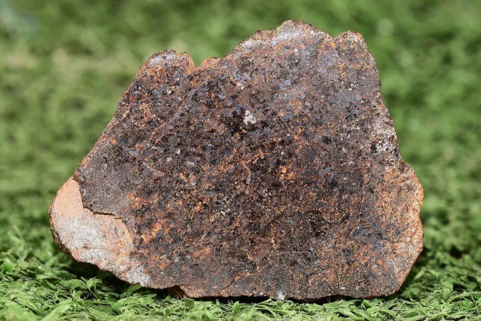 RARE CLASS Meteorite chondrite H7 NWA 14234 Endcut 30 grams - MeteoriteNwa.com