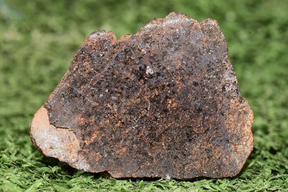 RARE CLASS Meteorite chondrite H7 NWA 14234 Endcut 30 grams - MeteoriteNwa.com