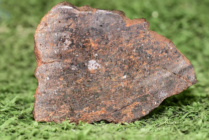 RARE CLASS Meteorite chondrite H7 NWA 14234 Slice 16.67 grams - MeteoriteNwa.com