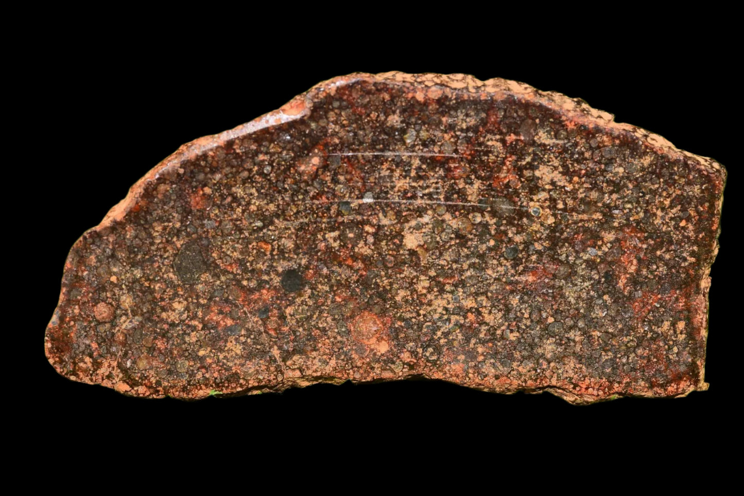 Meteorite Chondrite L3 NWA 12341 With Amazing chondrules 9.93 g - MeteoriteNwa.com