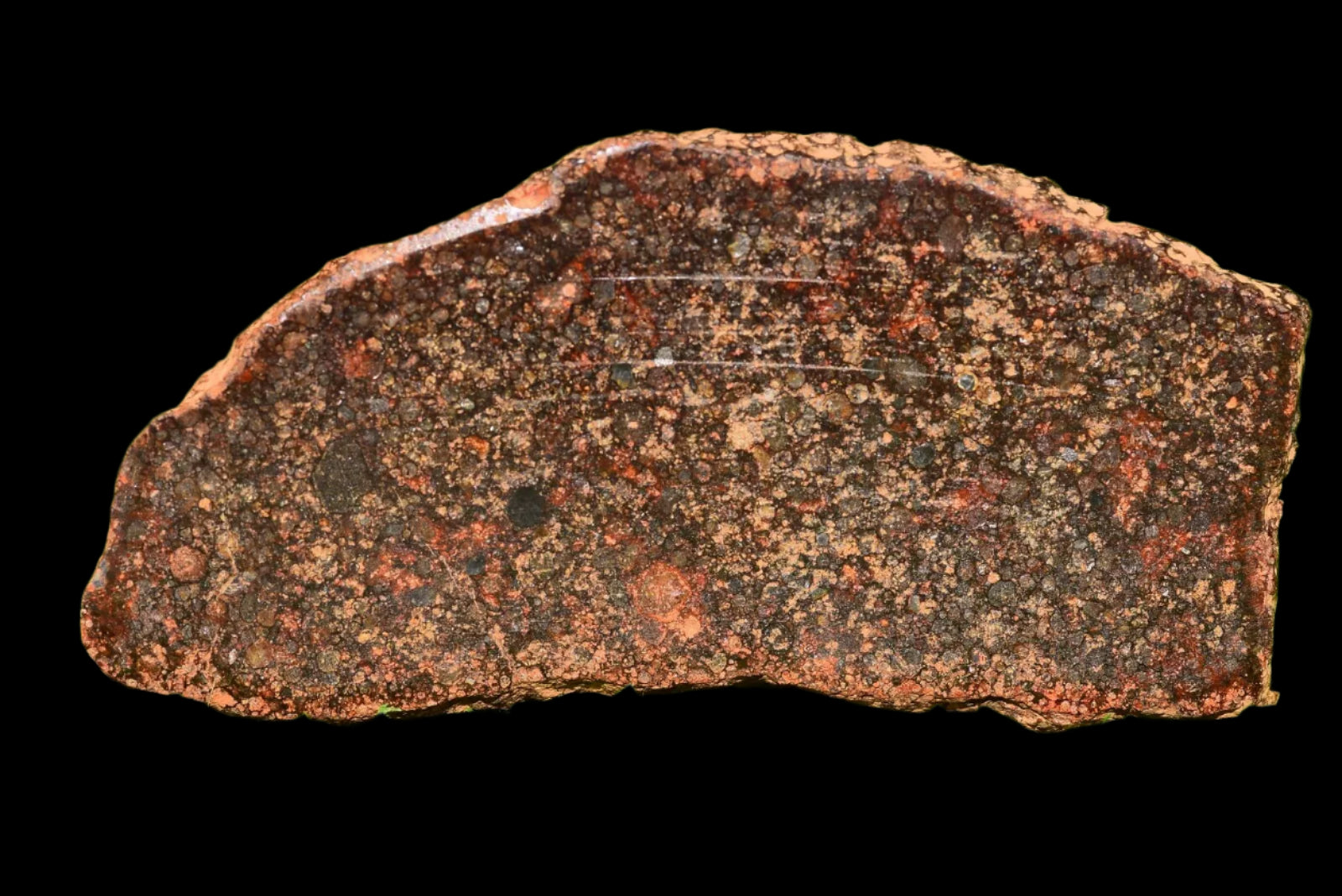 Meteorite Chondrite L3 NWA 12341 With Amazing chondrules 9.93 g - MeteoriteNwa.com