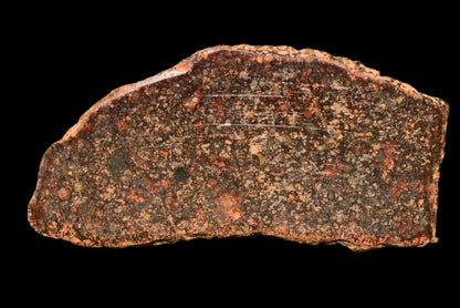 Meteorite Chondrite L3 NWA 12341 With Amazing chondrules 9.93 g - MeteoriteNwa.com