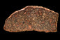 Meteorite Chondrite L3 NWA 12341 With Amazing chondrules 9.93 g - MeteoriteNwa.com