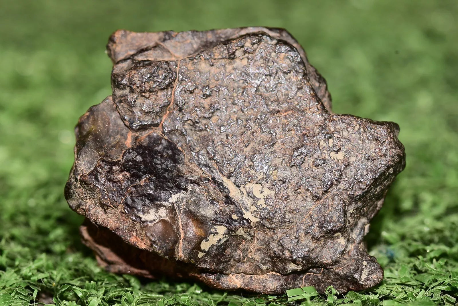 Meteorite Mesosiderite stony Iron NWA 14867 Endcut 30.7 g - MeteoriteNwa.com