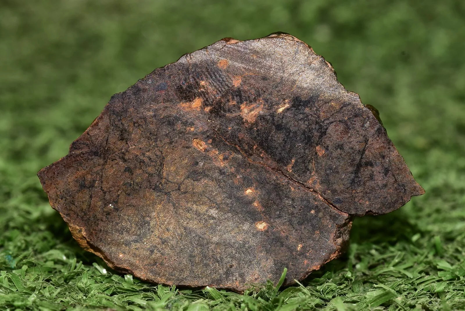 Meteorite Ungrouped achondrite NWA 13272 poikilitic igneous texture 18.67g Slice - MeteoriteNwa.com
