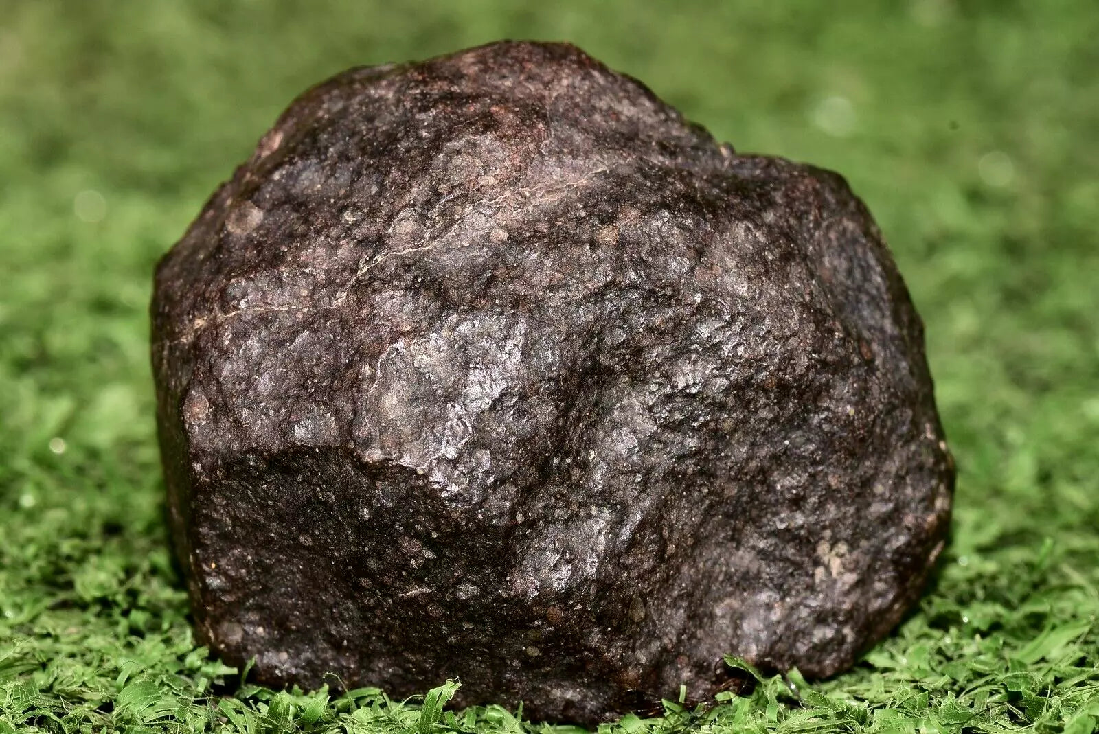 Meteorite chondrite Ordinary H4 NWA 14003 Complete fragment - 52.5g - MeteoriteNwa.com