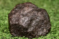 Meteorite chondrite Ordinary H4 NWA 14003 Complete fragment - 52.5g - MeteoriteNwa.com