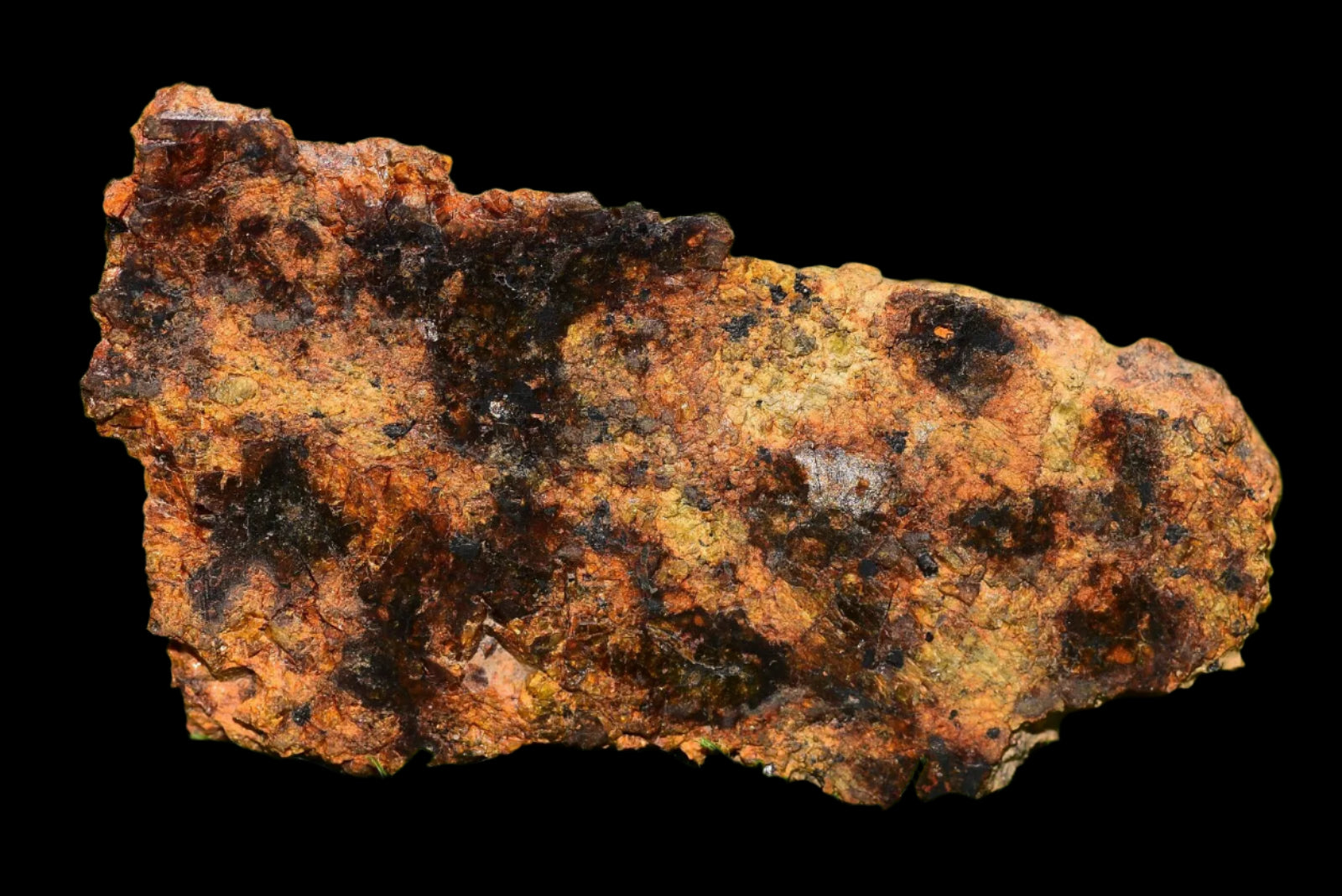 Meteorite for Sale : Diogenite NWA 13692