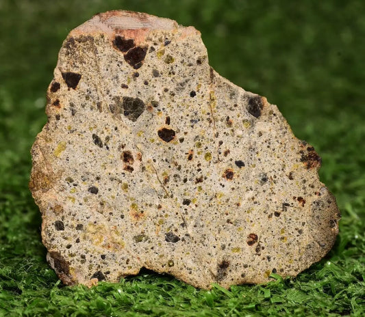Meteorite Diogenite polymict NWA 14868 Endcut 54.12 grams - MeteoriteNwa.com