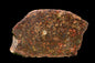 Meteorite Chondrite L3 NWA 12341 With Amazing chondrules endcut 15.4 g - MeteoriteNwa.com
