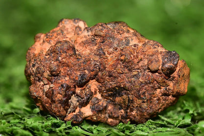 Diogenite Meteorite achondrite NWA 14869 HED melt breccia 4.10 g - MeteoriteNwa.com