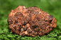 Diogenite Meteorite achondrite NWA 14869 HED melt breccia 4.10 g - MeteoriteNwa.com