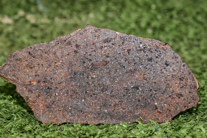 ULTRA RARE Meteorite Brachinite Achondrite NWA 11756 Slice 25.83 g - MeteoriteNwa.com