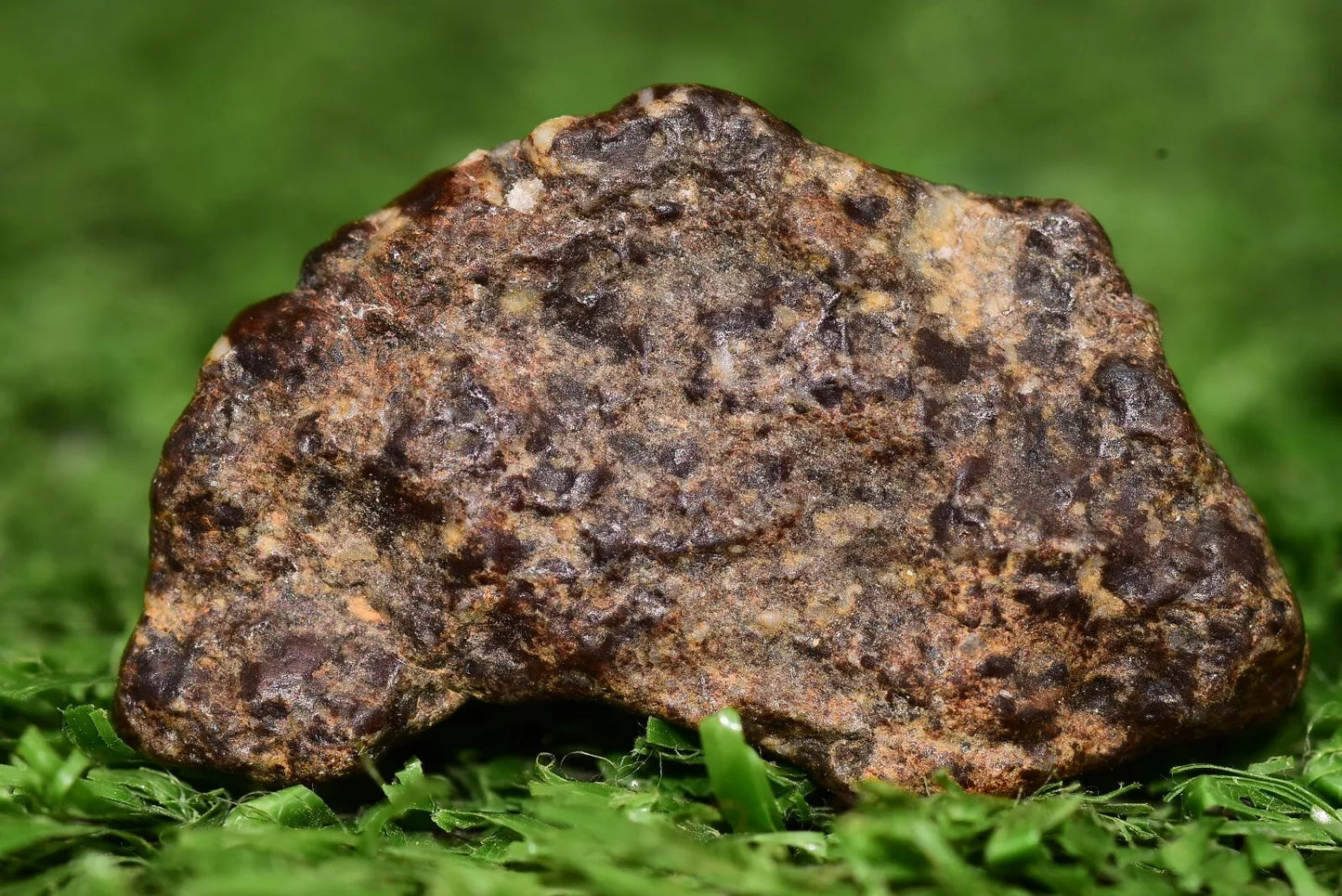 Meteorite NWA 12344 HED achondrite Eucrite, polymict 4.8 grams fragment - MeteoriteNwa.com