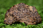 Meteorite NWA 12344 HED achondrite Eucrite, polymict 4.8 grams fragment - MeteoriteNwa.com