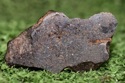 Meteorite Mesosiderite stony Iron NWA 14867 slice 8.2g - MeteoriteNwa.com