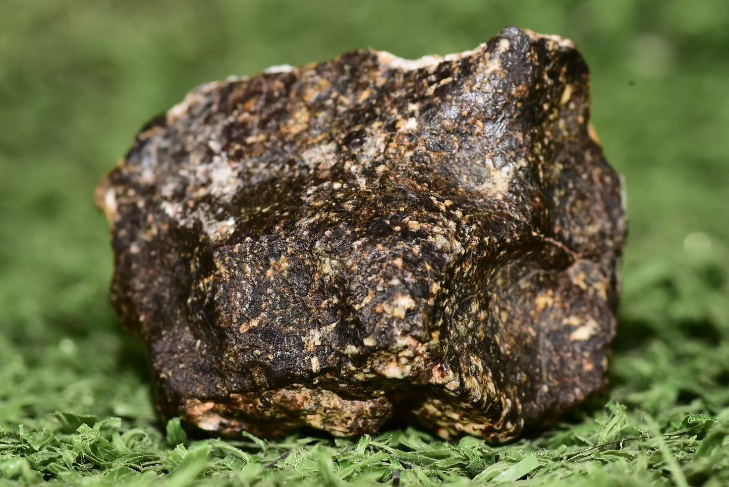 Meteorite Eucrite Brecciated NWA 14410 fragment 12.5 g - MeteoriteNwa.com