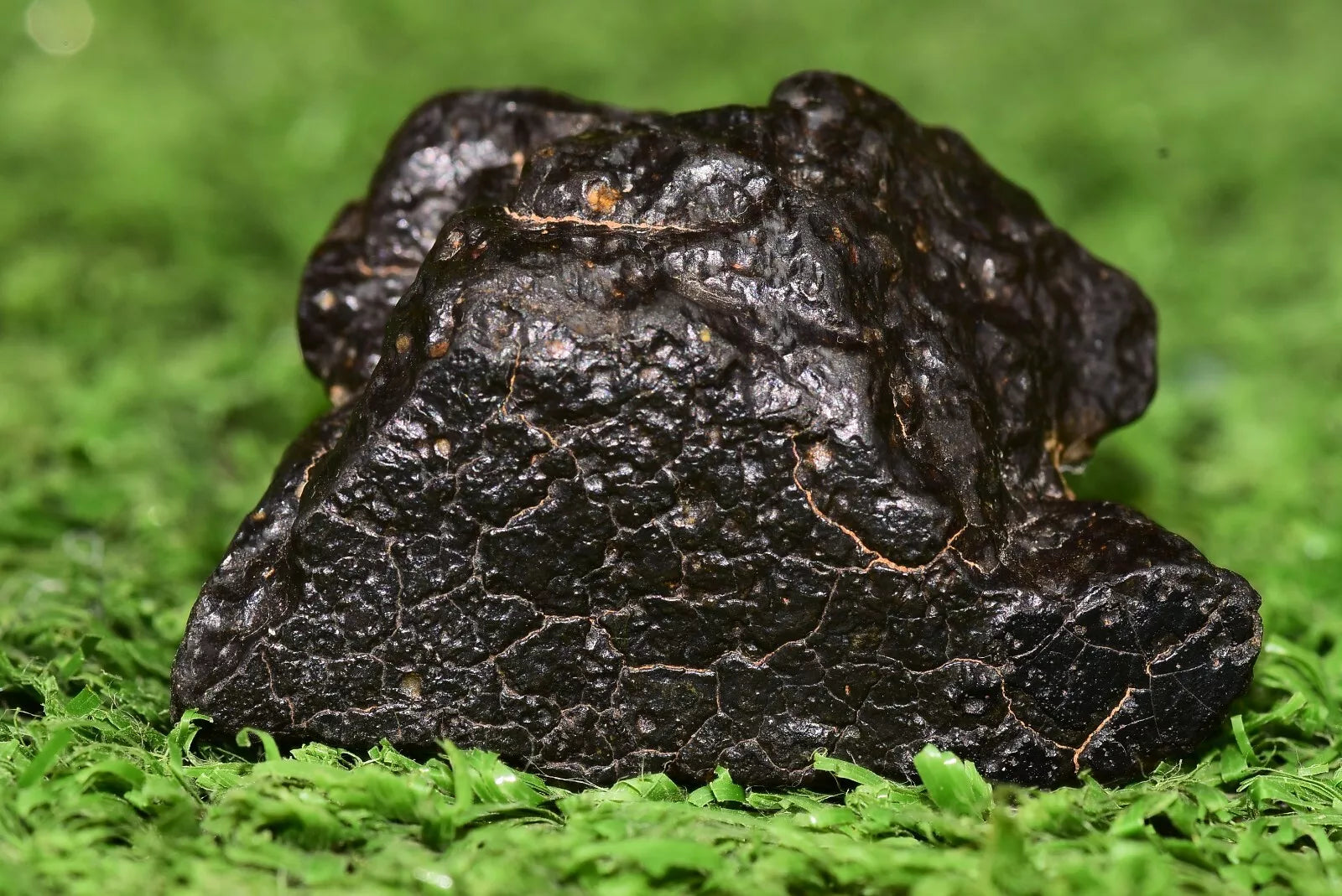 Meteorite Carbonaceous chondrite Ck3 NWA 14406 Main Mass 18.9G - MeteoriteNwa.com
