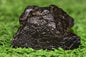 Meteorite Carbonaceous chondrite Ck3 NWA 14406 Main Mass 18.9G - MeteoriteNwa.com