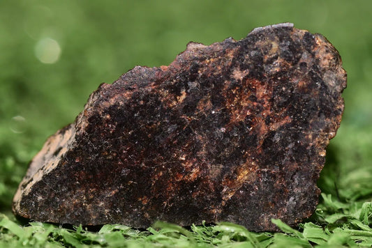 ULTRA RARE Meteorite Acapulcoite Achondrite Primitive Aydar ENDCUT 5.69 GRAMS - MeteoriteNwa.com