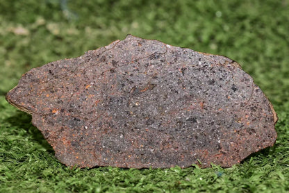 ULTRA RARE Meteorite Brachinite Achondrite NWA 11756 Slice 25.83 g - MeteoriteNwa.com