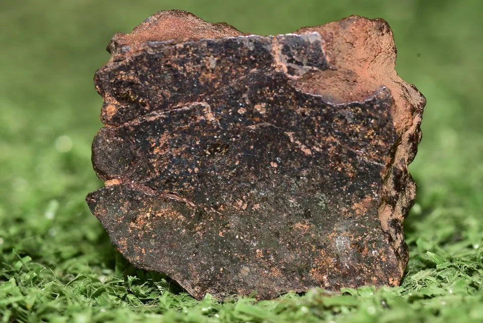 Meteorite Mesosiderite stony Iron NWA 14867 Endcut 16.8g - MeteoriteNwa.com