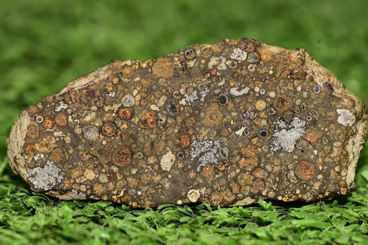 Meteorite CV3 Carbonaceous Chondrite NWA 14004 Endcut 12.85 G - MeteoriteNwa.com