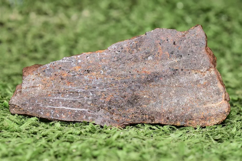 RARE CLASS Meteorite chondrite H7 NWA 14234 Slice 19.81 grams - MeteoriteNwa.com