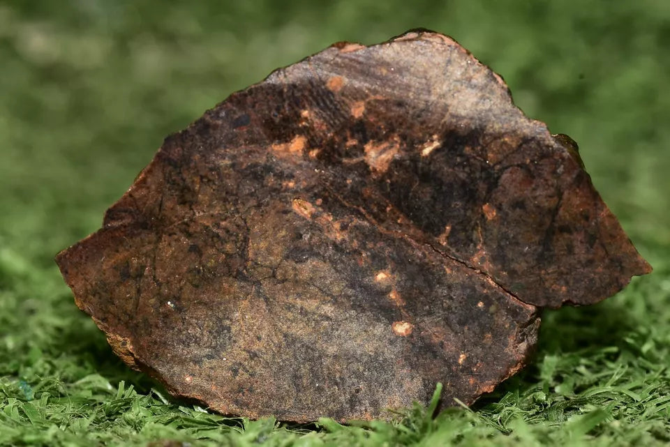 Meteorite Ungrouped achondrite NWA 13272 poikilitic igneous texture 18.67g Slice - MeteoriteNwa.com