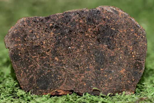 ULTRA RARE Meteorite Brachinite Achondrite NWA 11756 Slice 12.3 g - MeteoriteNwa.com
