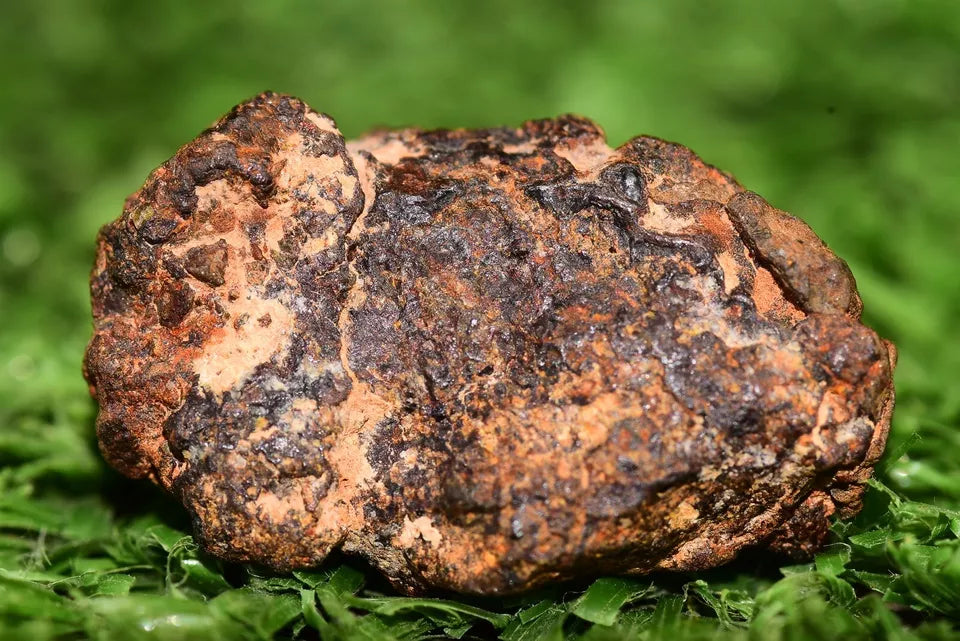 Diogenite Meteorite achondrite NWA 14869 HED melt breccia 4.10 g - MeteoriteNwa.com