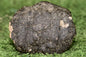 Meteorite Eucrite Brecciated NWA 14410 fragment 96 g - MeteoriteNwa.com