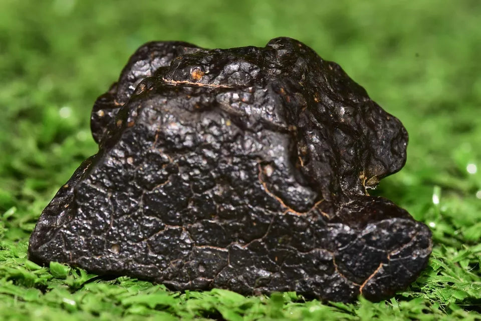 Meteorite Carbonaceous chondrite Ck3 NWA 14406 Main Mass 18.9G - MeteoriteNwa.com