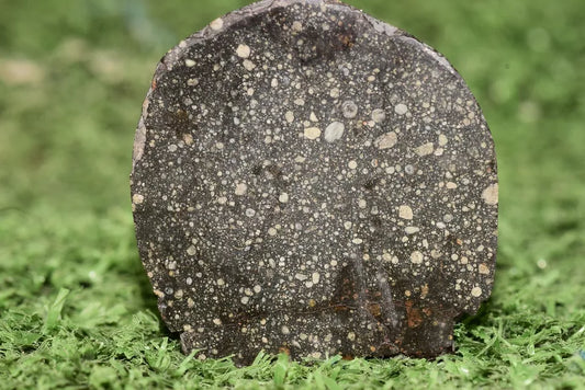 Meteorite Chondrite NWA 12858 RUMURUTI R3 15.73 G SLICE - MeteoriteNwa.com