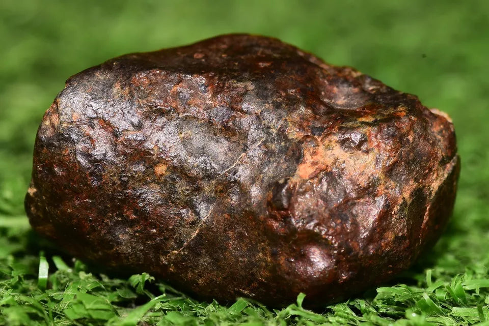 Meteorite chondrite L4 Nwa 14229 Dark brownish fragment w minor fusion crust 20g - MeteoriteNwa.com