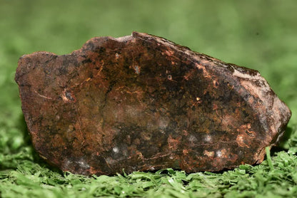 Meteorite Ungrouped achondrite NWA 13272 poikilitic igneous texture 9.54 g Slice - MeteoriteNwa.com