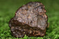 Meteorite NWA 12344 HED achondrite Eucrite, polymict 5.27 grams fragment - MeteoriteNwa.com