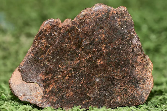 RARE CLASS Meteorite chondrite H7 NWA 14234 Endcut 30 grams - MeteoriteNwa.com