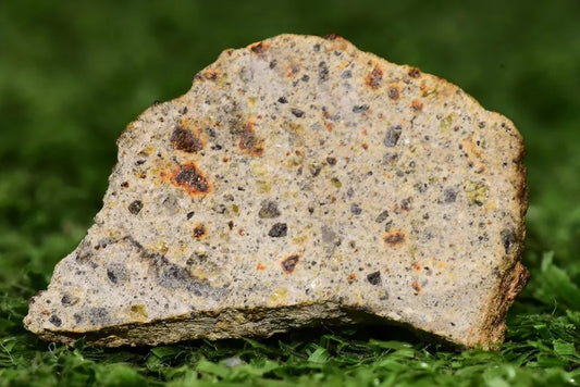 Meteorite Diogenite polymict NWA 14868 Slice 5.36 grams - MeteoriteNwa.com