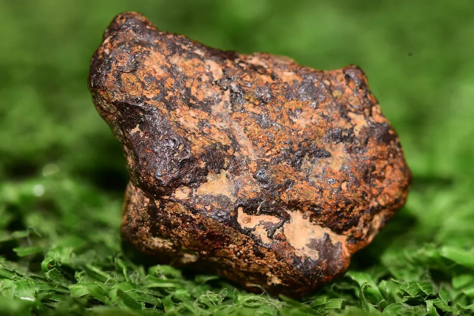Meteorite NWA 14869 HED achondrite diogenite melt breccia 2.60 g - MeteoriteNwa.com